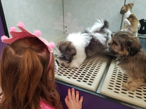 Pet Store «Pet City Pet Shops», reviews and photos, 750 Citadel Dr N # 2092, Colorado Springs, CO 80909, USA