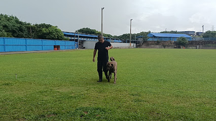 群峰训练犬学校