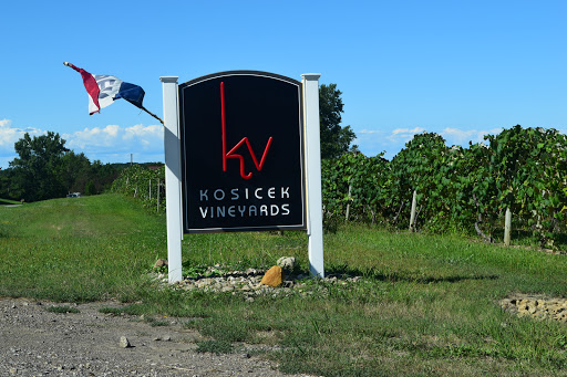 Winery «Kosicek Vineyards», reviews and photos, 636 OH-534, Geneva, OH 44041, USA