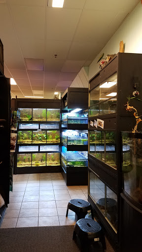 Pet Store «Movie Vault & PETropoliS live», reviews and photos, 1296 Anderson City Rd, Lawrenceburg, KY 40342, USA