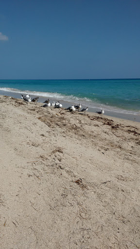 Park «Heritage Park», reviews and photos, 19200 Collins Ave, Sunny Isles Beach, FL 33160, USA