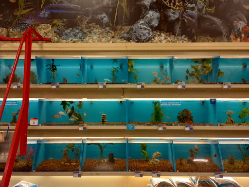 Pet Supply Store «PetSmart», reviews and photos, 5650 Mercury Dr, Dearborn, MI 48126, USA