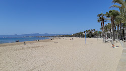 Photo de Platja de Ponent avec rivage droit, long