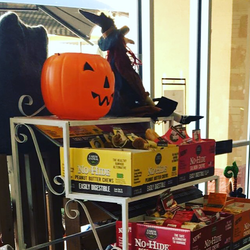 Pet Groomer «Hollywood Houndz Boutique, Spa & Hotel», reviews and photos, 4243 W Lake Mary Blvd, Lake Mary, FL 32746, USA