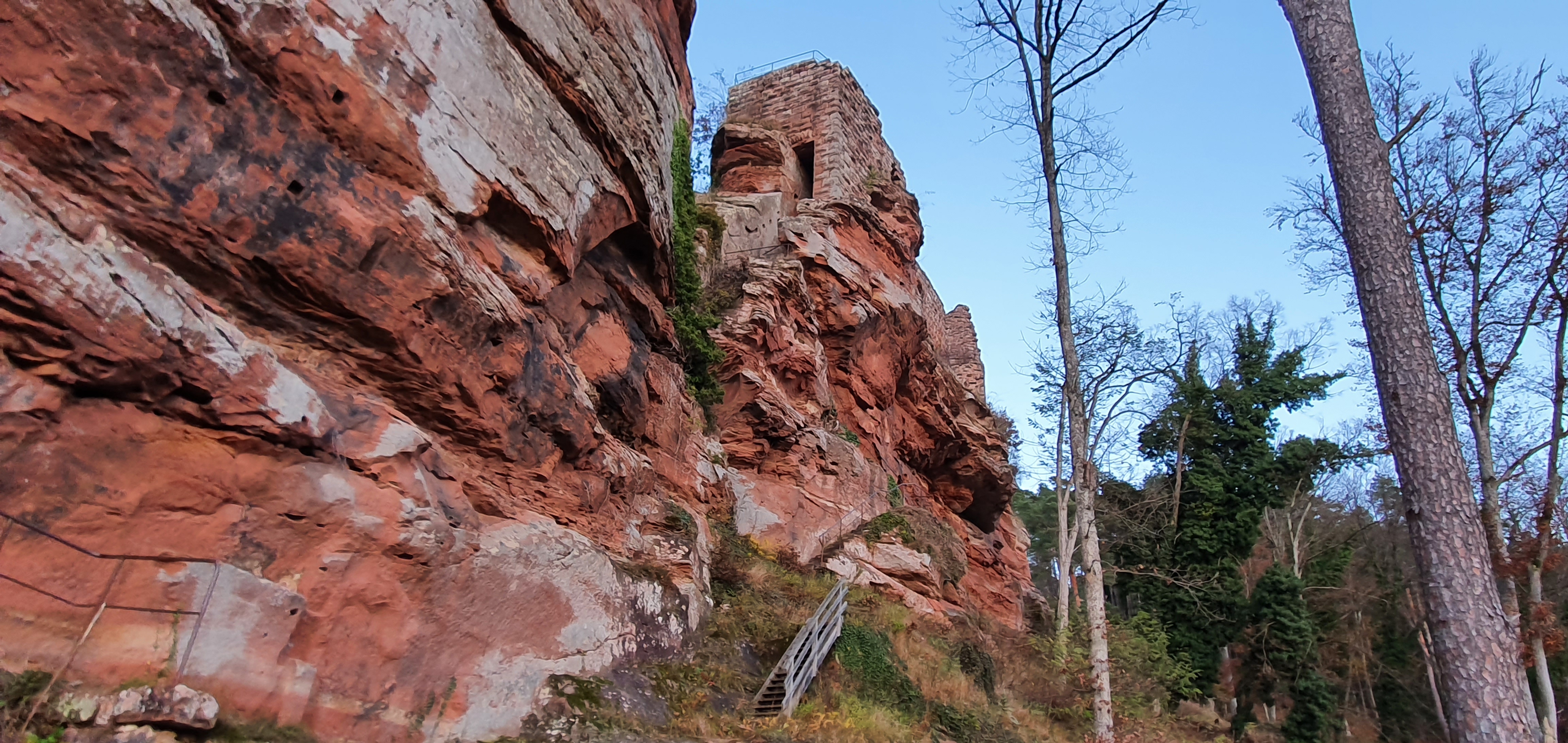 Photo n° 7 de l'avis de Vidar.. fait le 30/11/2021 à 06:44