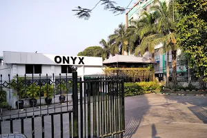 Onyx Moss Garden image