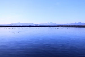 野々村ため池 image