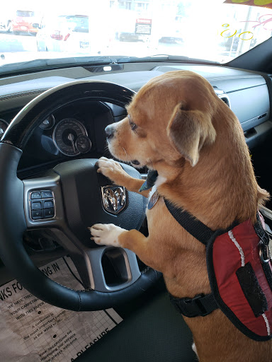 Car Dealer «Hanlees Chrysler Dodge Jeep Ram of Napa», reviews and photos, 333 Soscol Ave, Napa, CA 94559, USA