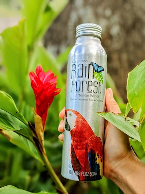 Rainforest Water