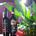 Photo n°5 de l'avis de Teresa.a fait le 22/03/2022 à 19:51 sur le  Trattoria Il Giogo à Grosseto