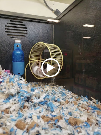 Pet Supply Store «PetSmart», reviews and photos, 79375 CA-111, La Quinta, CA 92253, USA