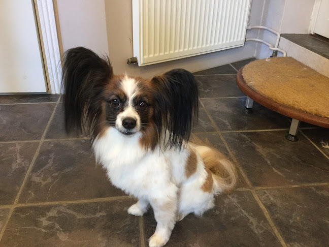 Musholmvej 80, 4220 Korsør