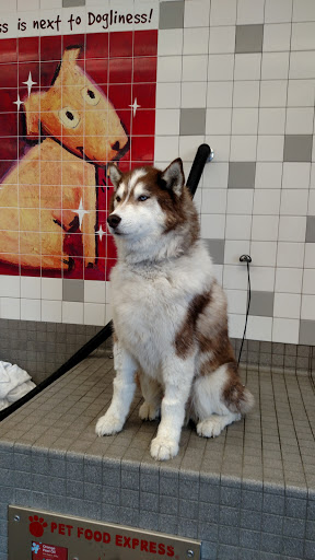 Pet Supply Store «Pet Food Express», reviews and photos, 5148 Stevens Creek Blvd, San Jose, CA 95129, USA