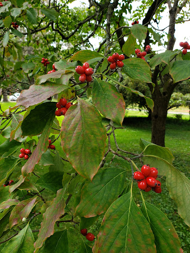 Historical Landmark «Montgomery Place Historic Estate», reviews and photos, 26 Gardener Way, Red Hook, NY 12571, USA