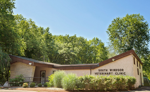 South Windsor Veterinary Clinic, LLC