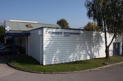 Clinique Veterinaire Equine d'Argonay à Argonay