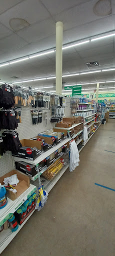 Dollar Store «Dollar Tree», reviews and photos, 3005 Wiley Blvd SW #120, Cedar Rapids, IA 52404, USA