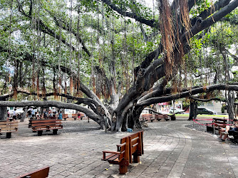 Lāhainā Banyan Court