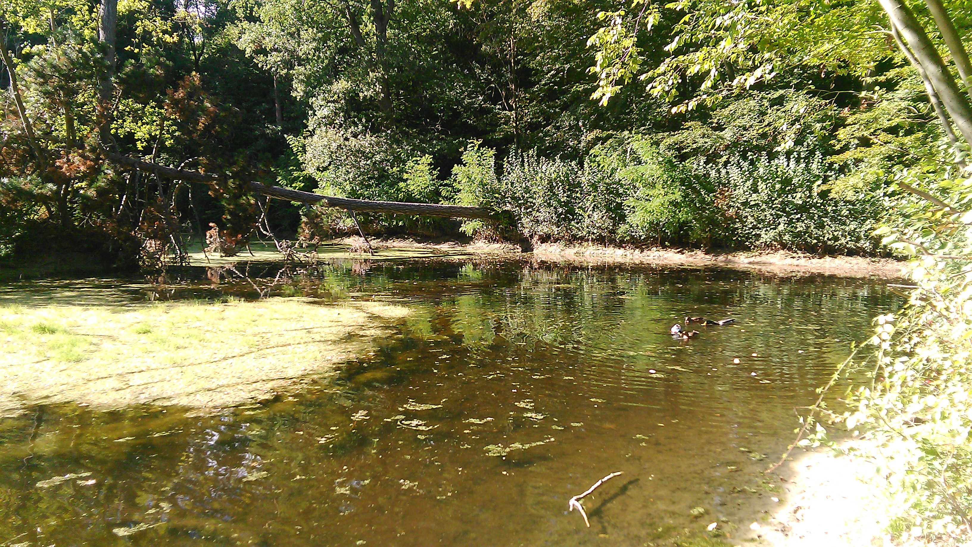 Photo n° 2 de l'avis de Andreakra123. fait le 02/10/2018 à 15:24
