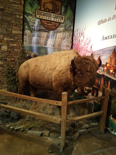 Sporting Goods Store «Bass Pro Shops Base Camp», reviews and photos, 2500 E Kearney St, Springfield, MO 65803, USA