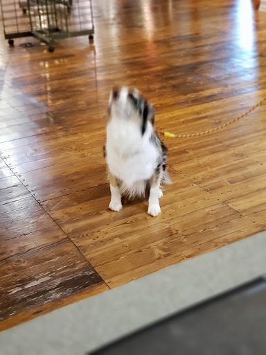 Harley-Davidson Dealer «Dudley Perkins Co. Harley-Davidson & Buell», reviews and photos, 333 Corey Way, South San Francisco, CA 94080, USA