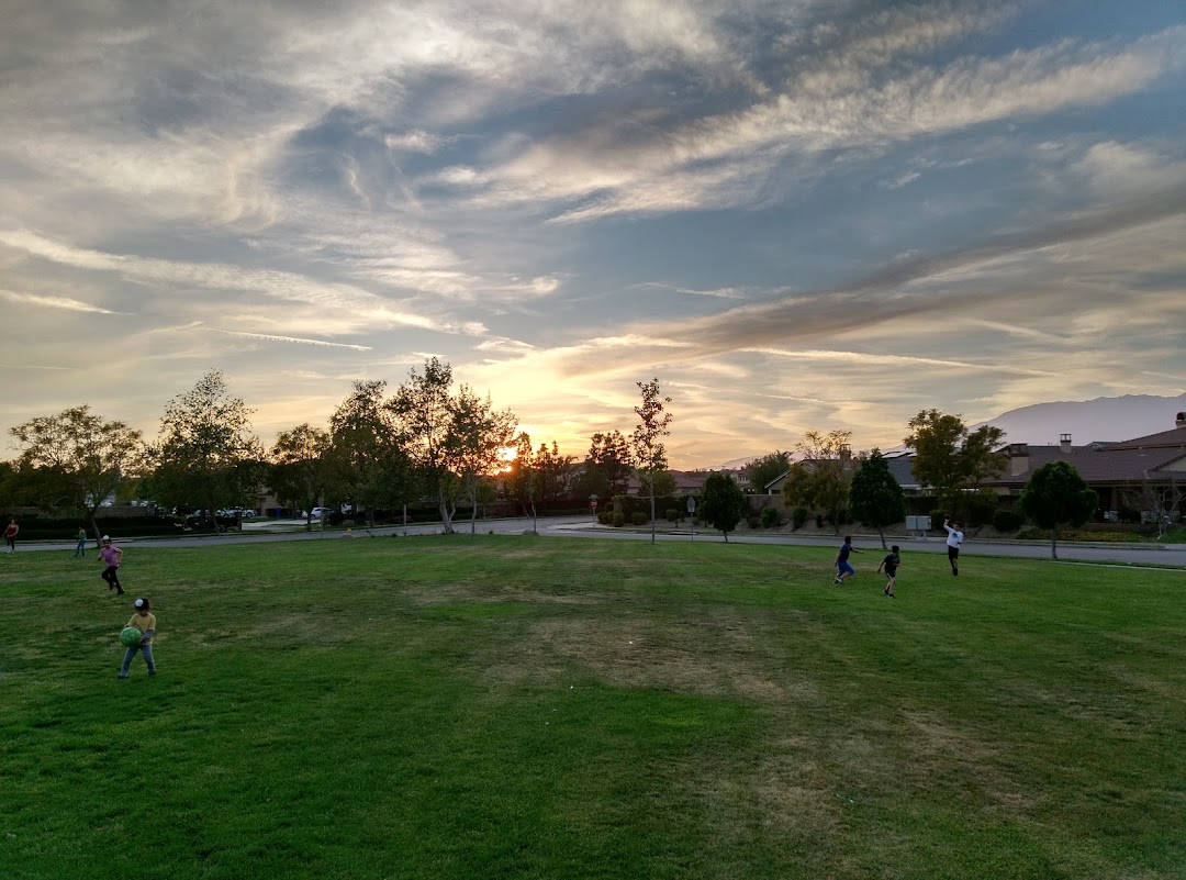 Sycamore Hills Park