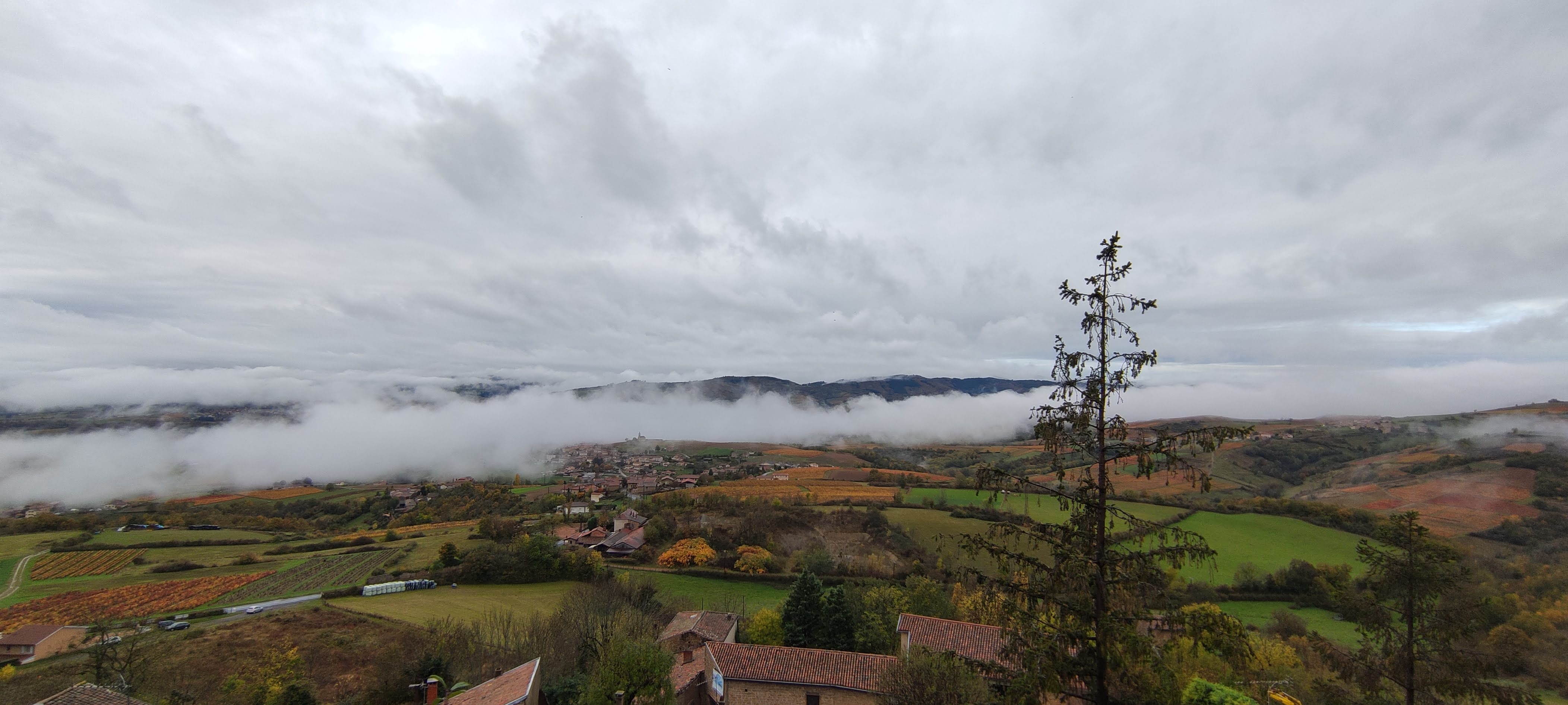 Photo n° 12 de l'avis de Anthony.a fait le 01/11/2021 à 16:22