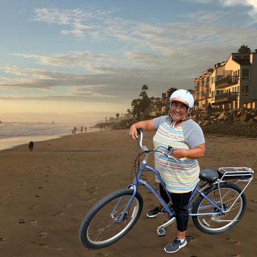 Mostly E-Bikes image