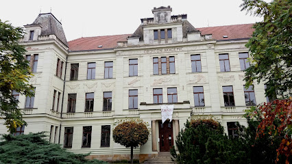 Gymnázium Hořice, Hořice, Šalounova 919 - Střední škola