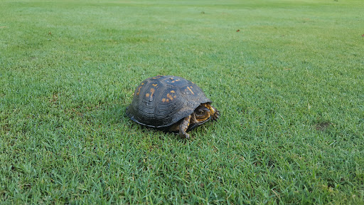 Country Club «The Carolina Country Club», reviews and photos, 2355 Carolina Country Club Rd, Spartanburg, SC 29306, USA