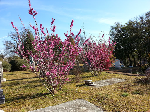 Cemetery «Oakland Cemetery», reviews and photos, 248 Oakland Ave SE, Atlanta, GA 30312, USA