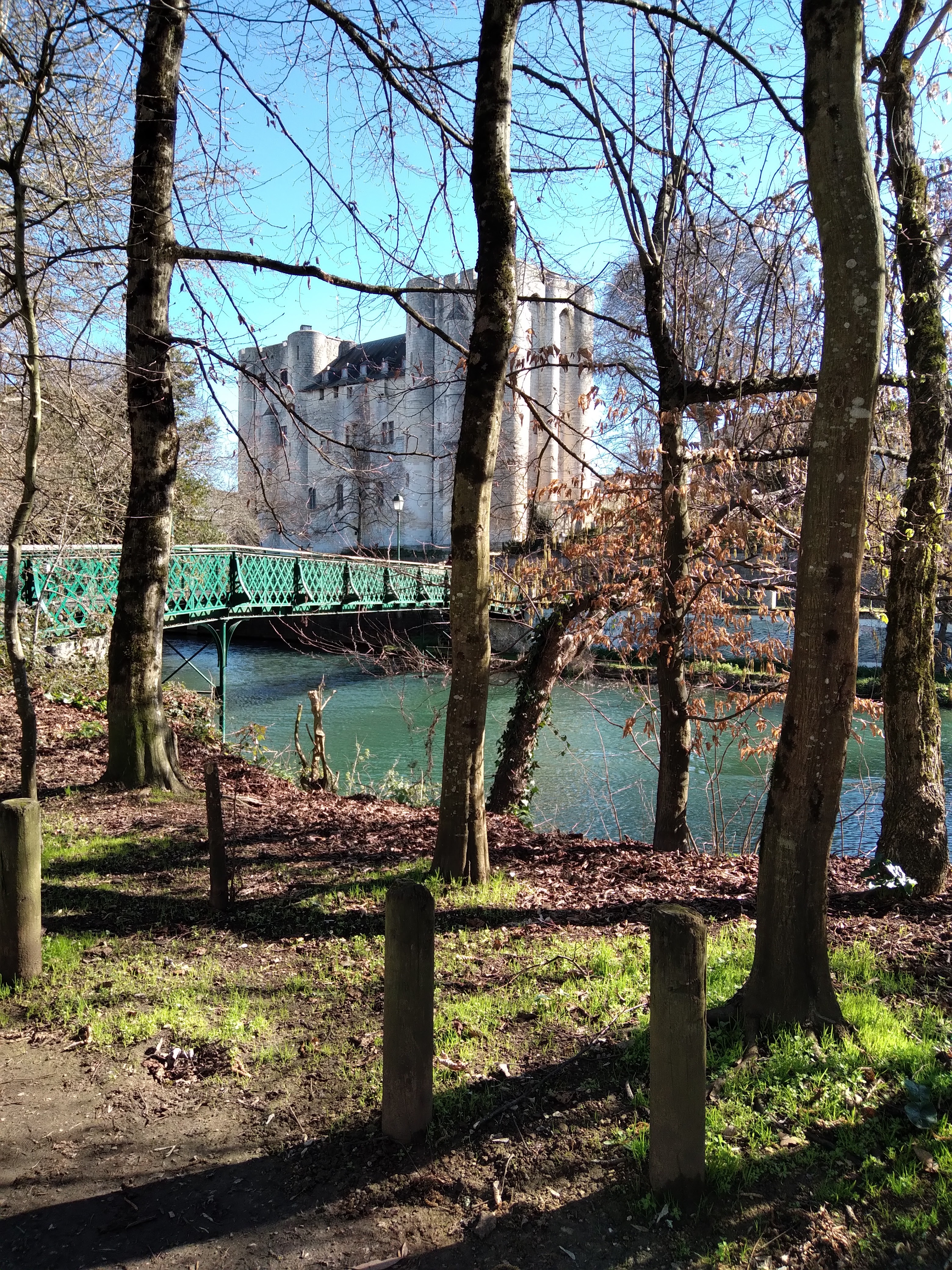 Photo n° 1 de l'avis de Pierre.e fait le 05/03/2022 à 15:01