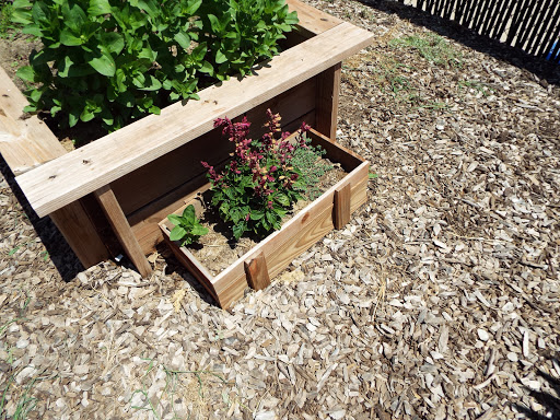 Non-Profit Organization «Kearney Family YMCA», reviews and photos, 4500 6th Ave, Kearney, NE 68845, USA