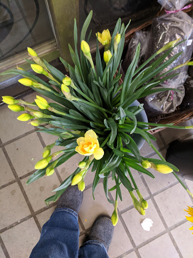 Florist «City Gardens Flower Shop», reviews and photos, 284 Wickenden St, Providence, RI 02903, USA