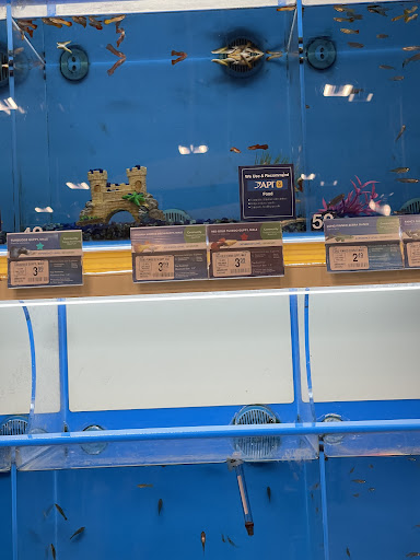 Pet Supply Store «PetSmart», reviews and photos, 916 Loganville Hwy, Bethlehem, GA 30620, USA