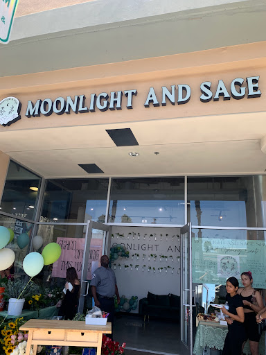 Moonlight and Sage image