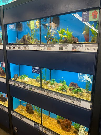 Pet Supply Store «Petco Animal Supplies», reviews and photos, 1150 Concord Ave #160, Concord, CA 94520, USA