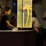 Photo n°8 de l'avis de Pedro.i fait le 10/09/2023 à 16:31 sur le  Movie Restaurant à Rome