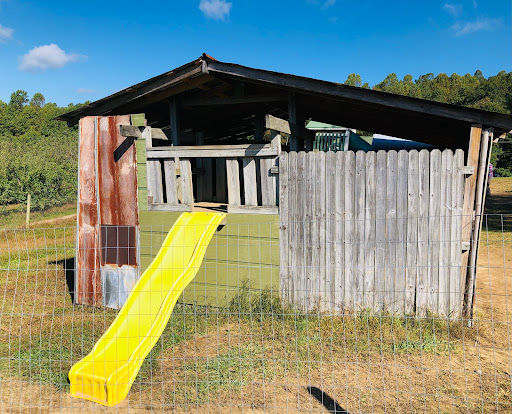 Orchard «Sky Top Orchard», reviews and photos, 1193 Pinnacle Mountain Rd, Flat Rock, NC 28731, USA