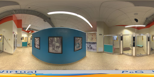 Animal Protection Organization «Charleston Animal Society», reviews and photos