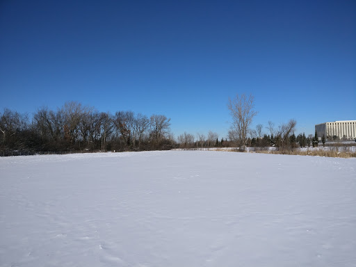 Dog Park «Beck Lake Off-Leash Dog Area», reviews and photos, 9700 Gloria Ct, Glenview, IL 60025, USA