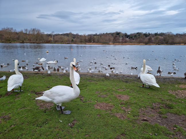 Whitlingham Country Park - Norwich