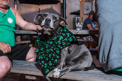 Brewery «Cueni Brewing Co.», reviews and photos, 945 Huntley Ave, Dunedin, FL 34698, USA