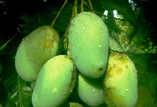 Grocery Store «Narin Market LLC», reviews and photos, 759 Potters Ave, Providence, RI 02907, USA