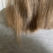 Bella Hair 348
