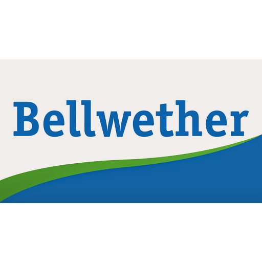 Bellwether - IT Support Fresno image