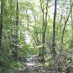 Photo n°3 de l'avis de Phil.o fait le 23/07/2018 à 06:33 sur le  Nationalparkhotel Kranichrast à Kargow