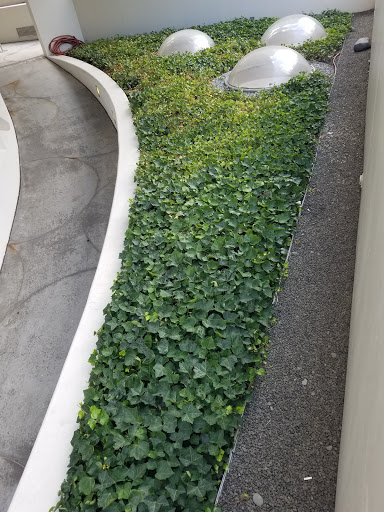 Modern Art Museum «Solomon R. Guggenheim Museum», reviews and photos, 1071 5th Ave, New York, NY 10128, USA