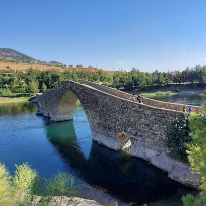 Tarihi Ceyhan Köprüsü
