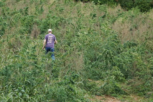 General Store «Hemptations», reviews and photos, 11353 Lebanon Rd, Sharonville, OH 45241, USA